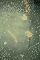 Picture for song 'Freeze Frame' by artist 'Tom King'