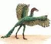 Picture for song 'Archaeopteryx' by artist 'Tomthepeasant'