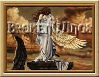 Picture for song 'A Broken Wing' by artist 'Tom Tripp'