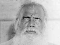 Picture for song 'Black Rose with Anthony' by artist 'Tonehenge'