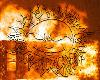 Picture for song 'Beaten' by artist 'Tony Flying Squirrel'