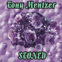 Picture for song '1,2,3,You're Gone' by artist 'Tony Mentzer'