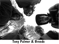 Picture for song 'Choices' by artist 'Tony Palmer and Breeds'