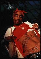 Picture for song 'Strait Thug' by artist 'TONZ'