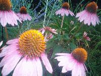 Picture for song 'This Songs For You' by artist 'Too Many Threads'