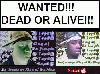 Picture for song 'TopCat Murder It' by artist 'TopCat (US)'