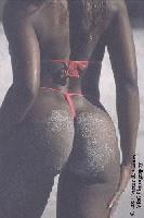 Picture for song '2003 Freak Nic' by artist 'TOTAL CONTROL BAND(TCB)'
