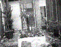 Picture for song 'Black' by artist 'TrackArmy'