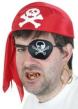 Picture for song 'Arrr! (The Pirate Song)' by artist 'Trailerpark Man'