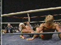 Picture for song 'A Beautiful Thang' by artist 'Trailer the Farcer'