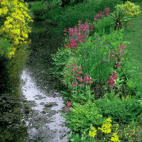 Picture for song 'How Good I Had it Then' by artist 'Trailer the Farcer'