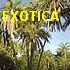 Picture for song 'Exotica' by artist 'Trance IMPACT'