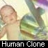 Picture for song 'Human Clone' by artist 'Trance IMPACT'