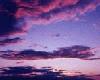 Picture for song 'Junkie XL - Beauty Never Fades' by artist 'tRaNcE nRg'