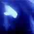 Picture for song 'Aquatic Symphony (Deep Mixdown)' by artist 'TranceSunDayProject'