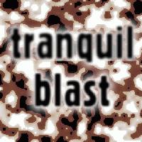 Picture for song 'Break The Ice' by artist 'Tranquil Blast'