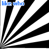 cover pic