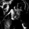 Picture for song 'My Life' by artist 'TraumatiCc and Tha Ripzta'