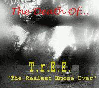 Picture for song 'Yellow Bellied Sapsuckers [Holee Ish Diss]' by artist 'TrEE'