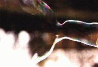 Picture for song 'ice fossil' by artist 'treemoss'