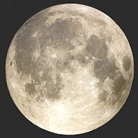 Picture for song 'Luna's Lullaby' by artist 'Trees in November'