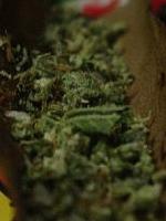 Picture for song 'Pussy Ass Clit' by artist 'Trekot'