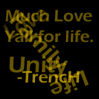 Picture for song 'Rememberance To Those(Who Have Fallen)' by artist 'TrencH-CodE'