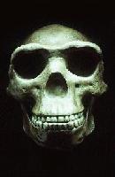 Picture for song 'Drastic Measures 2004' by artist 'Trenches of New Jeru'