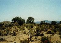 Picture for song 'Trenches Freestyle-(Loak Lock Beat-Drive By)' by artist 'Trenches of New Jeru'