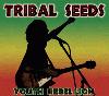 Picture for song 'Youth Rebellion' by artist 'Tribal Seeds'