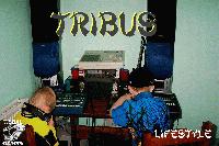 Picture for song 'Just Begun' by artist 'Tribus'