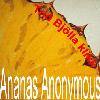 Picture for song 'Ananas Anonymous' by artist 'Trio Bjolla klikk'