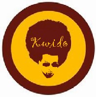 Picture for song 'Mystery song number one' by artist 'Triphopsources'