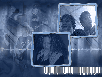 Picture for song 'Desert Life' by artist 'Trip The Switch'