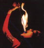 Picture for song 'Spit fire' by artist 'Trojan Army'