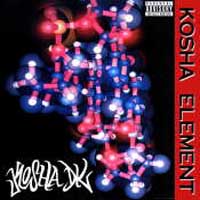 Picture for song 'the Nasty - Kosha Dil' by artist 'TRP NMEwreckidz'