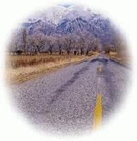 Picture for song 'The Road of Life' by artist 'True Wonder'