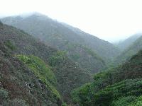 Picture for song 'A Thousand Days With Cameron Maxwell' by artist 'TruLala'