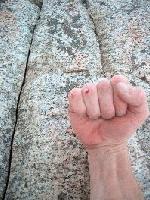 Picture for song 'Bloody Knuckles Monkey Thumbs' by artist 'TruLala'