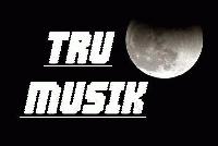 Picture for song 'Ambitionz' by artist 'Tru Musik'