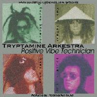 Picture for song 'Keep Knoddin' by artist 'Tryptamine Arkestra'