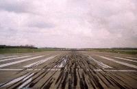 Picture for song 'mfr11' by artist 'Tryptophan'