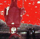 Picture for song 'Alpha Combust Delerium' by artist 'T twew'