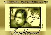 Picture for song 'I'M COMMIN'' by artist 'Tumbleweeed'