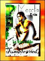 Picture for song 'SO I RIDE¨¨' by artist 'Tumbleweeed'