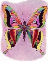 Picture for song 'Dance' by artist 'Tunerfish'