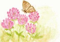 Picture for song 'Organ Voluntary in C' by artist 'Tunerfish'