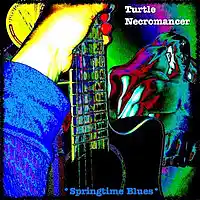 Picture for song 'Springtime Blues' by artist 'Turtle Necromancer'