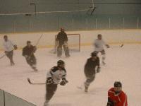 Picture for song 'The Scab Hockey League' by artist 'TwineTender'