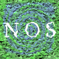Picture for song 'NOS' by artist 'Twinspin'